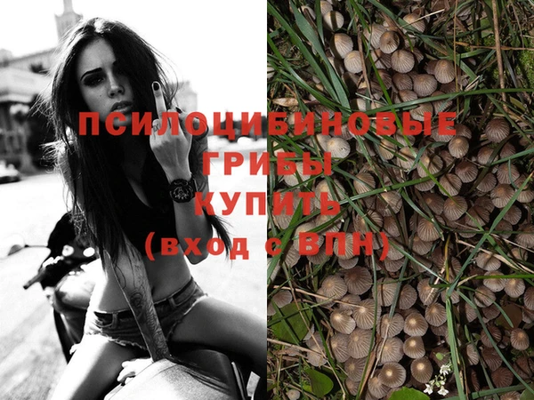 jwh Алзамай