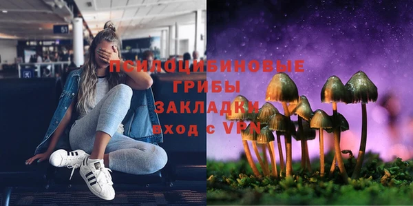 дмт Алексин