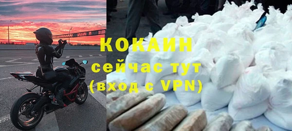 дмт Алексин