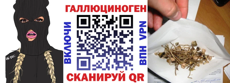 Галлюциногенные грибы Cubensis закладки Плавск